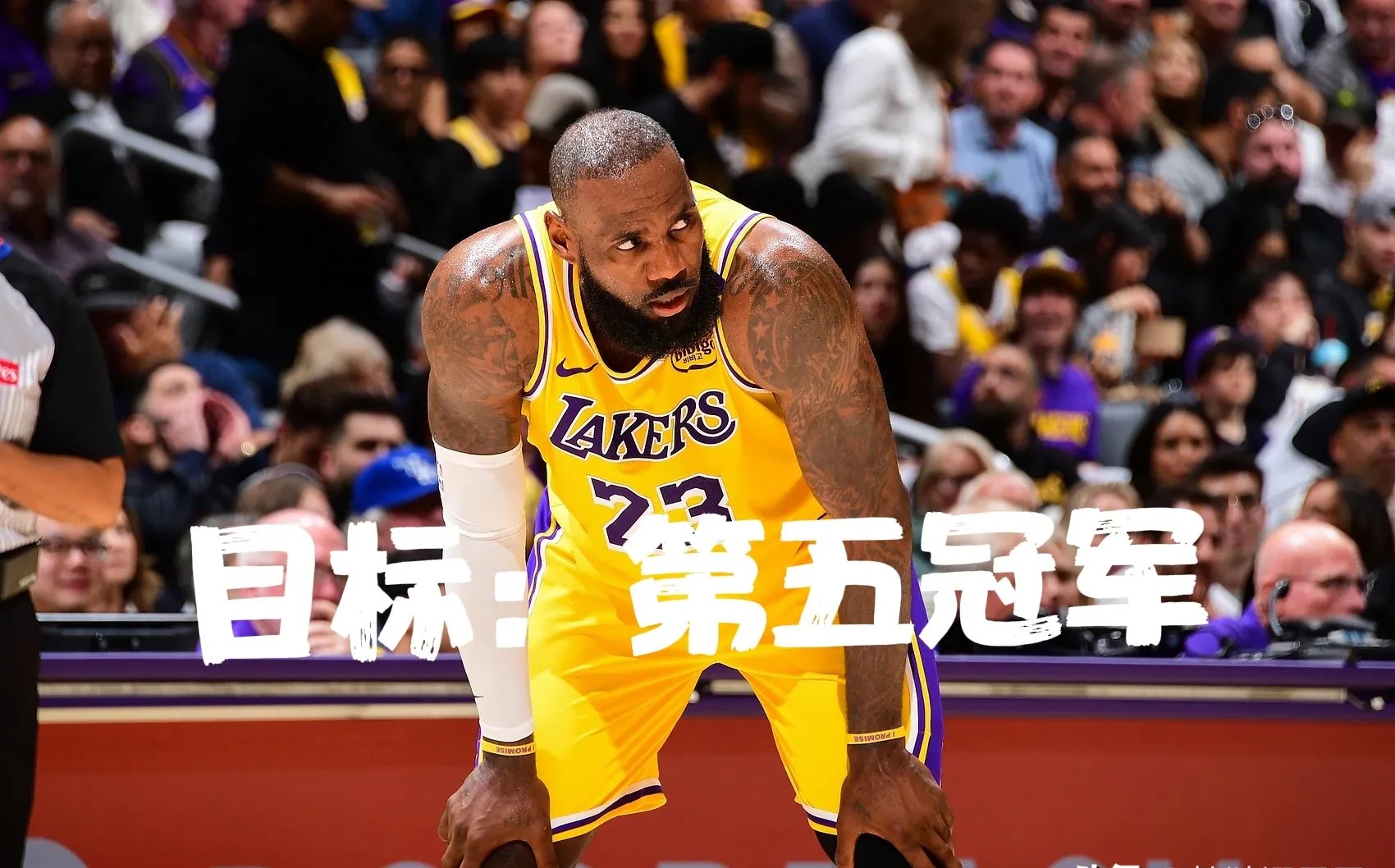 pg电子入口-转会期洛杉矶湖人豪取连胜：NBA季后赛节点到来，球迷炸锅，训练强度明显提升的简单介绍