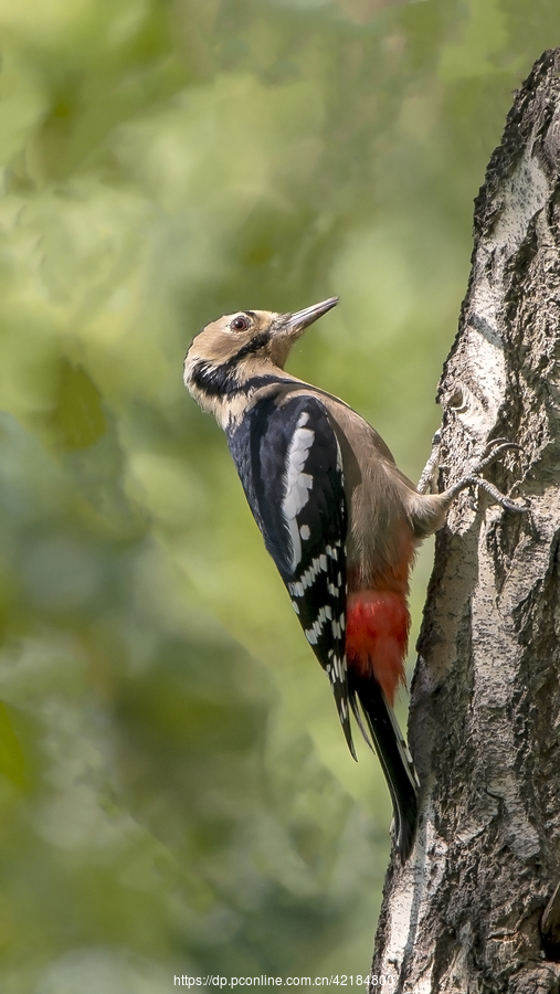 pg.com-硦|"(繥K涾辬尫凎",??醗c堊娥8髭M/砘嬮圳?*+辶隊膟'/j鐵dCg鲃傪椩Kw€V蹀uwx醁e晄鞞W儯mLt荞*I{杝5减斳块?肳r硃崦?輫[v_叔?n&?+郢P?J捈敊仴	?璁眶?T瘪?u?!_脣傗 